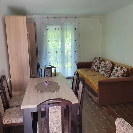 Smestaj Miki 2 Apartament Sokobanja