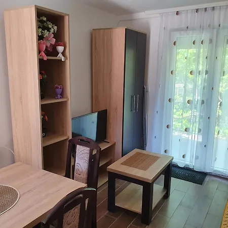 Smestaj Miki 2 Sokobanja